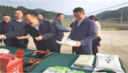 市委常委、政法委書(shū)記劉波濤帶隊(duì)調(diào)研指導(dǎo)定點(diǎn)幫扶村鄉(xiāng)村振興工作